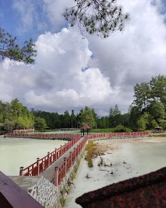 Hutan Pinus Lahendong